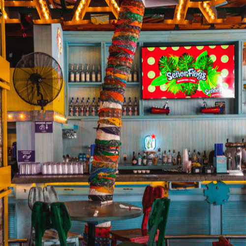 Senor Frogs